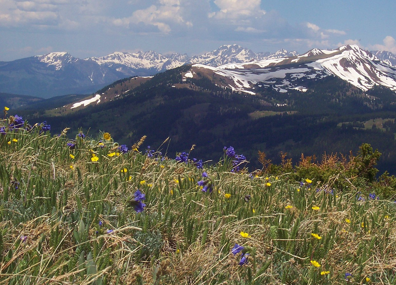 Rocky Mountains. Wikimedia Commons